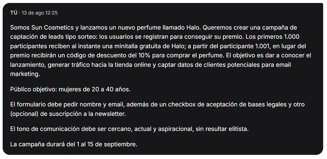 Primer mensaje del usuario describiendo la campaña de ejemplo